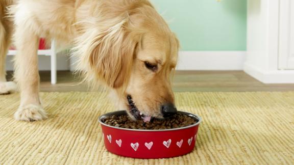 Best Cat And Dog Toys For Valentine S Day Cnn Underscored