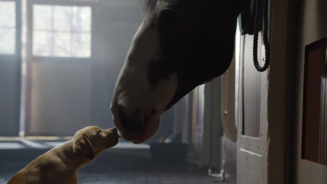 Here are some of Budweiser's best Super Bowl ads ever CNN Video