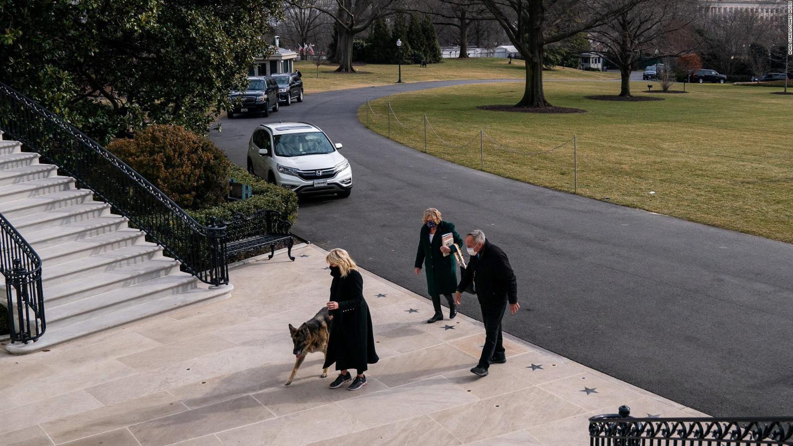 First dogs Champ and Major Biden moved into the White House Sunday ...