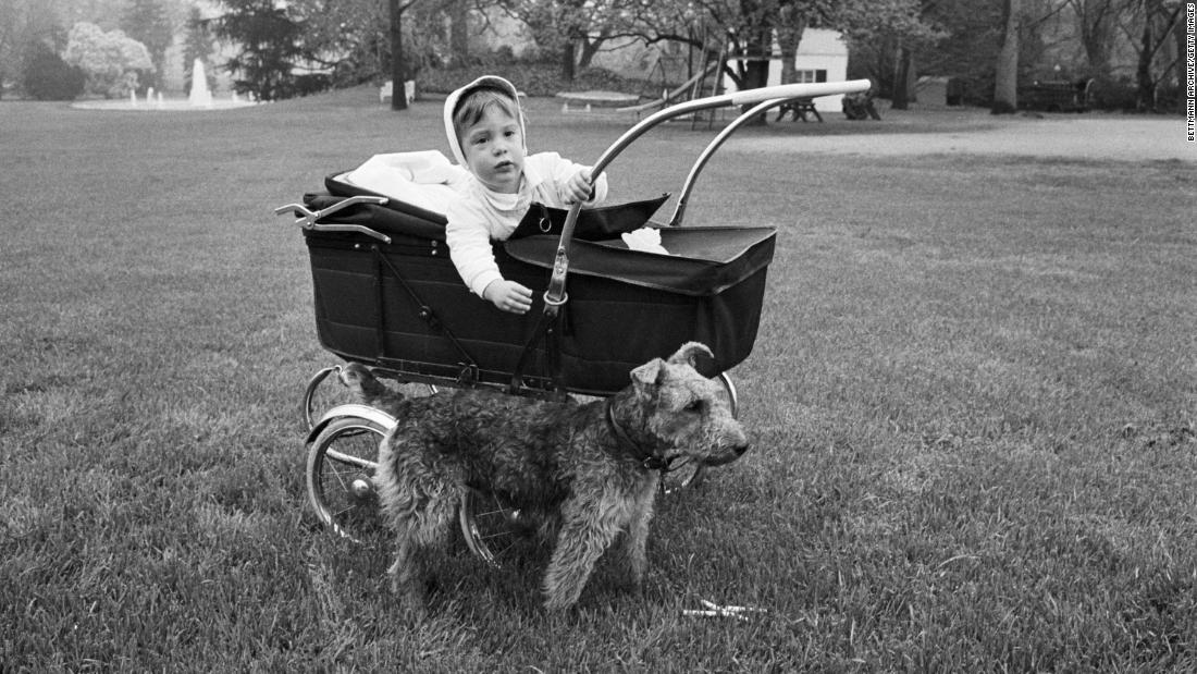 John F. Kennedy Jr. mischievously leans out of his baby carriage and reaches for the family&#39;s Welsh terrier, Charlie. Charlie was one of the Kennedy family&#39;s many dogs.