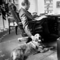 12 presidential pets unf RESTRICTED