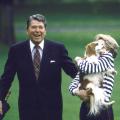 13 presidential pets unf RESTRICTED