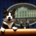 14 presidential pets unf 