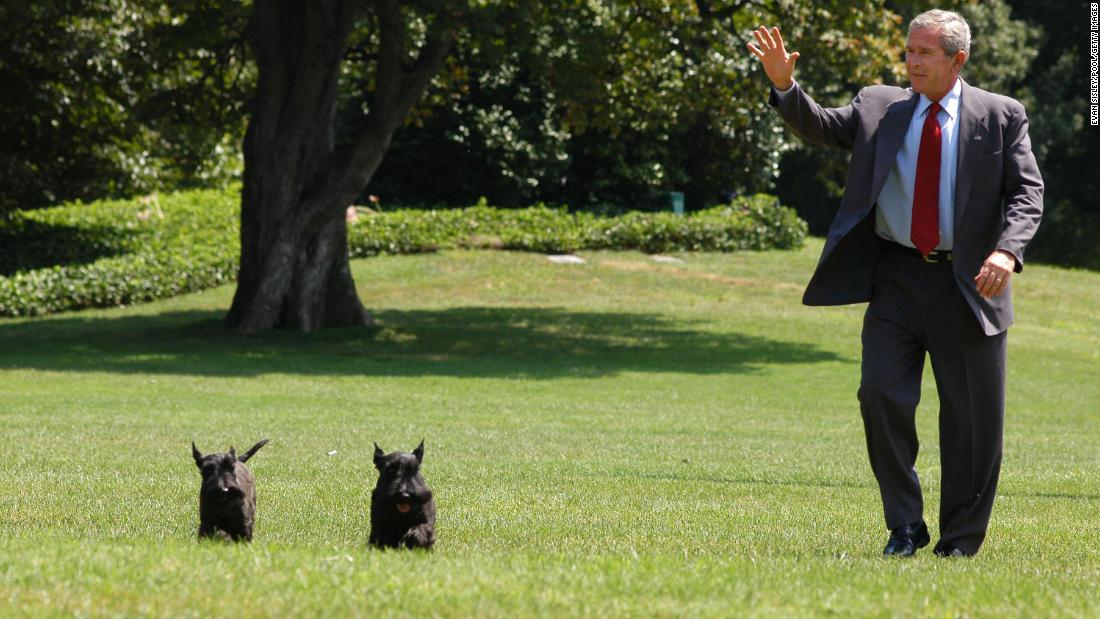 George W. Bush is joined by his Scottish terriers Barney and Miss Beazley as he walks on the South Lawn of the White House in 2006.