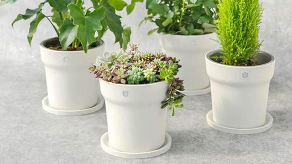 Ollivan Smart plant pots 