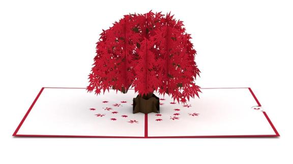 Japanese Maple 3D Card