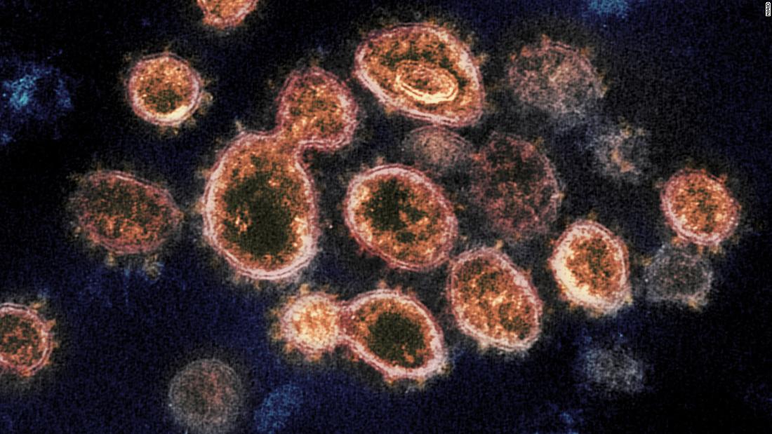 US coronavirus: US can defeat Covid-19 variants with the right tools, says White House adviser