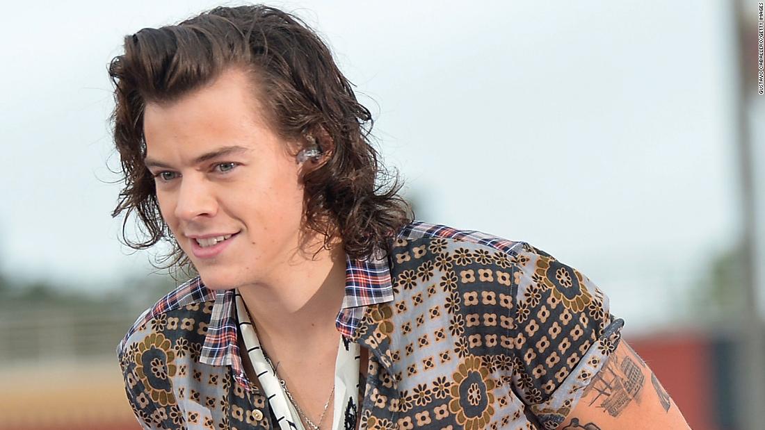 1Ds Harry Styles is set to hit Hollywood | Daily Star