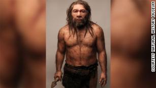 Prehistoric teeth hint at Stone Age sex with Neanderthals