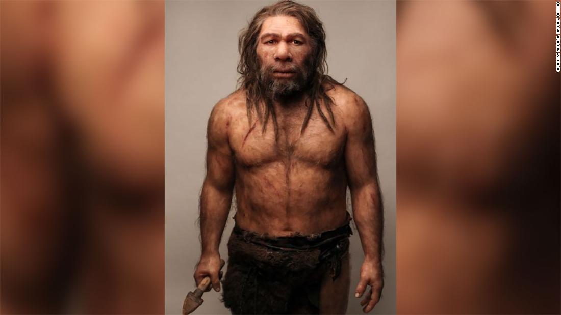 Stone age teeth indicate the Neanderthal breeding