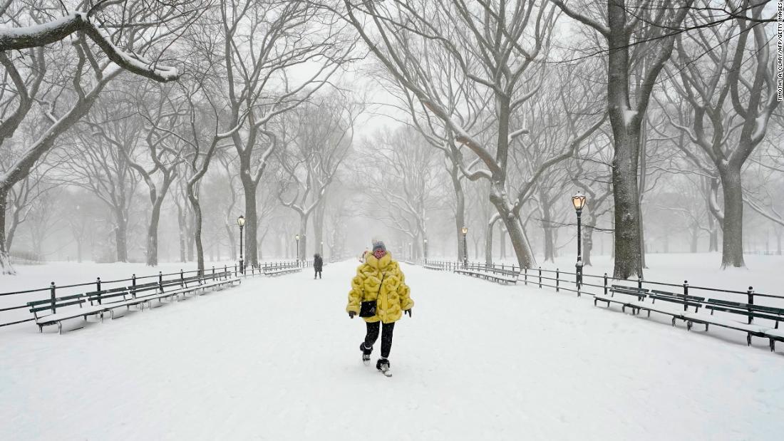 A woman walks in New York&#39;s Central Park.