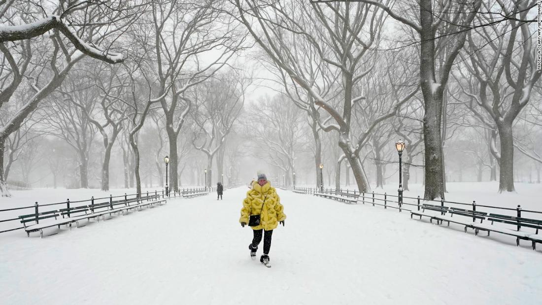 new york city snowfall totals