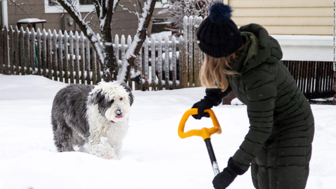 Sophie, a 5-year-old English sheepdog, plays in the snow as Gosia Clore shovels it in Iowa City, Iowa, on Sunday.