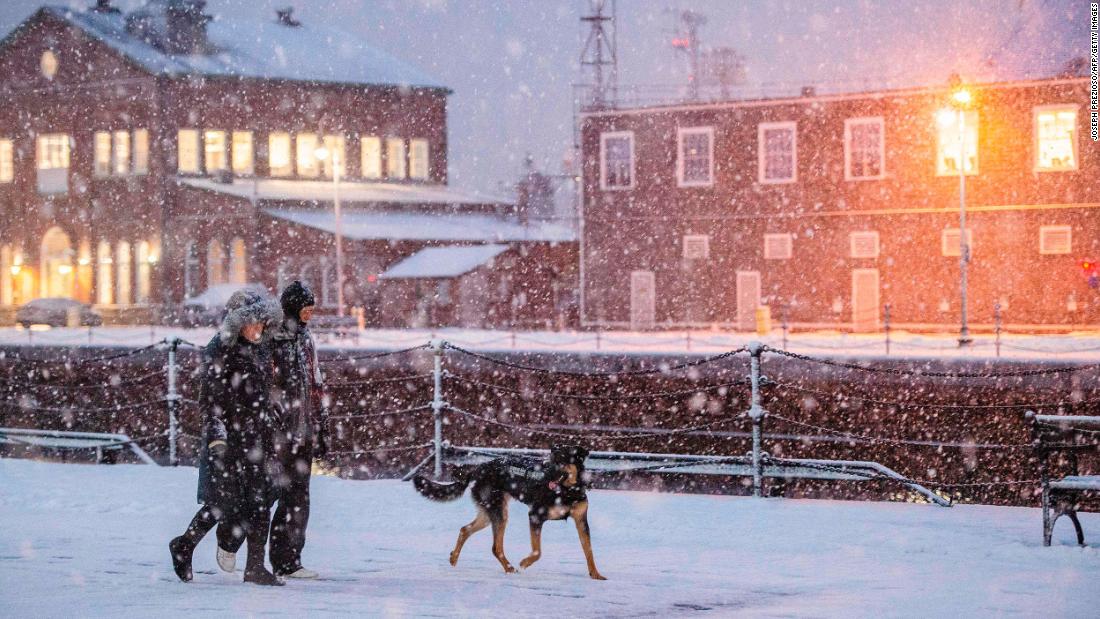 A couple walks a dog in Boston on Monday.