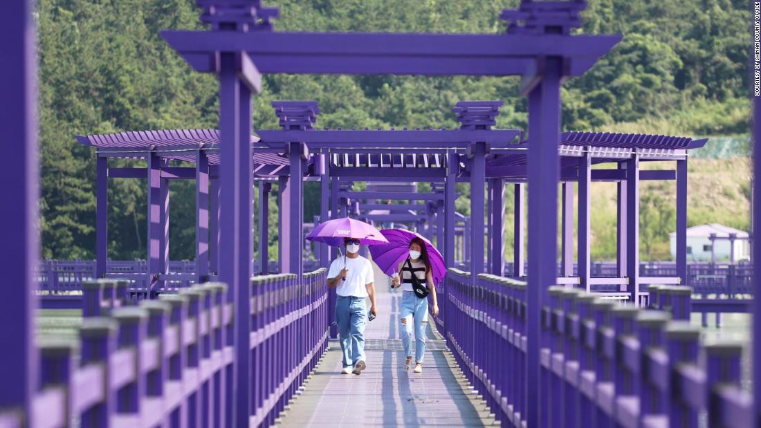 Banolis Pietų Korėjoje yra visiškai violetinis