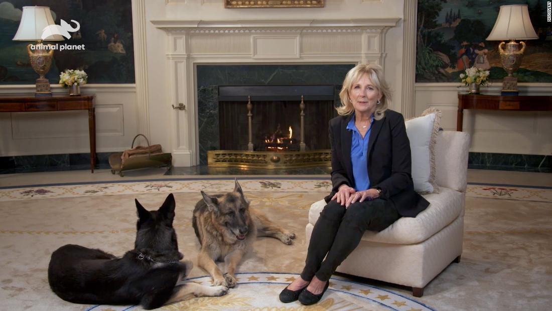 Puppy Bowl XVIII to present message from First Lady Jill Biden