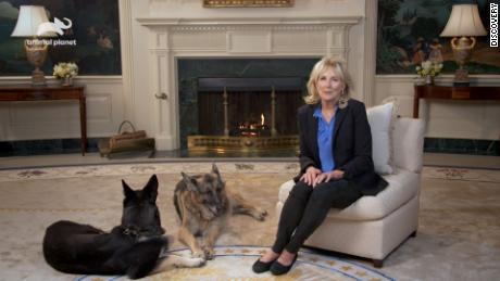 First Lady Jill Biden with the first dogs Champ and Major.