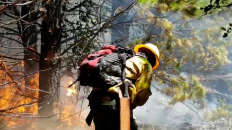 Incendio En La Patagonia Argentina Quema Mas De 9 300 Hectareas Cnn Video