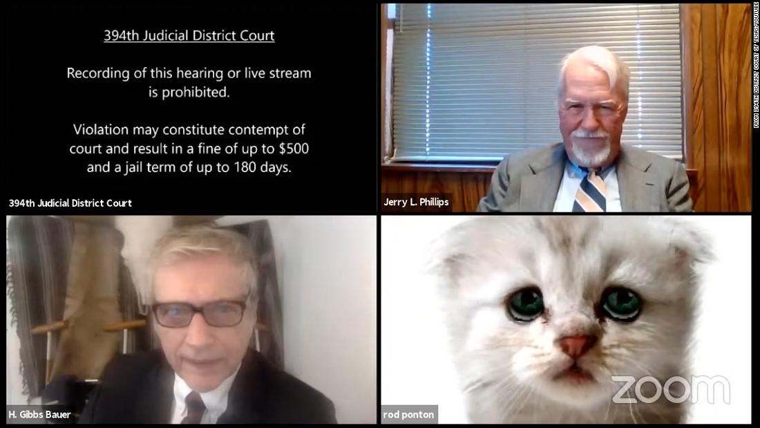 Lawyer tells judge #39 I #39 m not a cat #39 after a Zoom filter mishap in