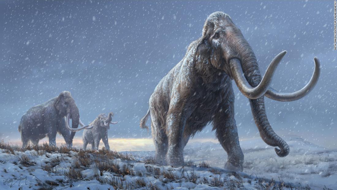 World’s oldest DNA series of a mammoth that lived more than 1 million years ago