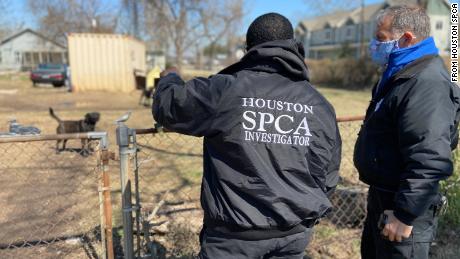 Animal cruelty cases are surging in freezing Texas  