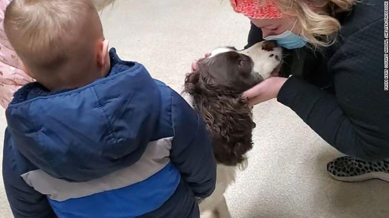A dog missing for 43 days reunites with his family after being rescued from a grain silo