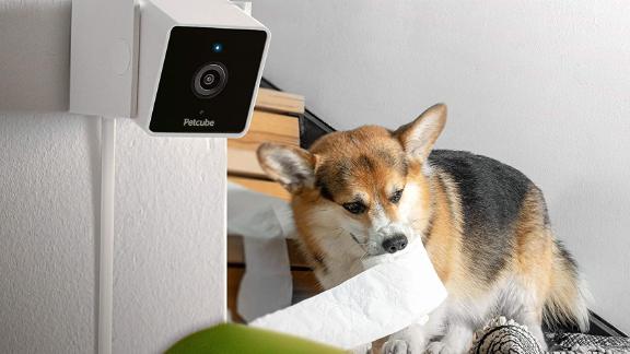 Petcube Pet Monitoring Camera