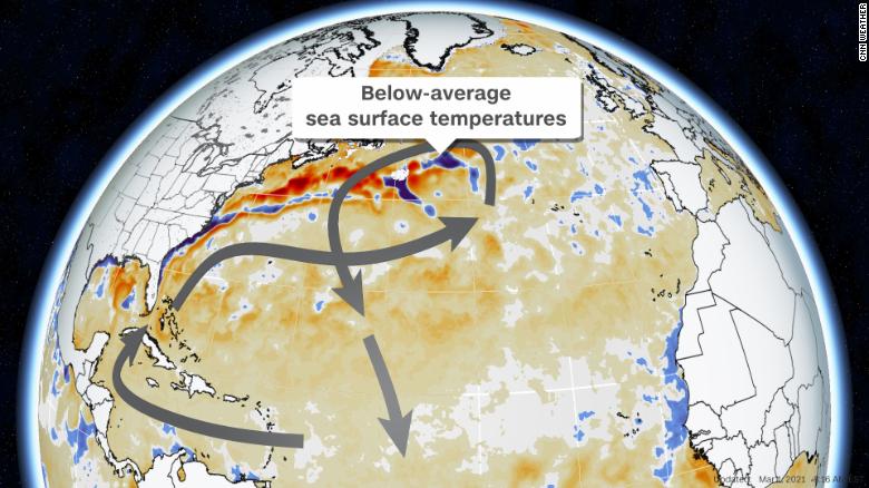 The slowing down of ocean currents could have a devastating effect on our climate | The