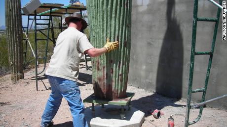 A 4G and 5G capable cactus is installed in the Scottsdale, Arizona area