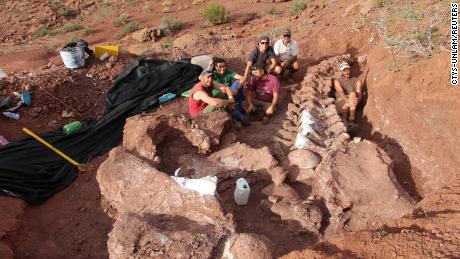 Fossils of large Ninjatitan dinosaur that lived 140 million years ago have been found in Argentina