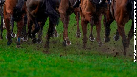Horse racing is facing questions over animal welfare after more footage appears on social media. 