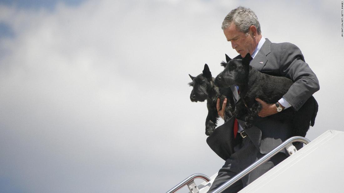 Bush walks off Air Force One carrying the family dogs Barney and Miss Beazley in 2006.