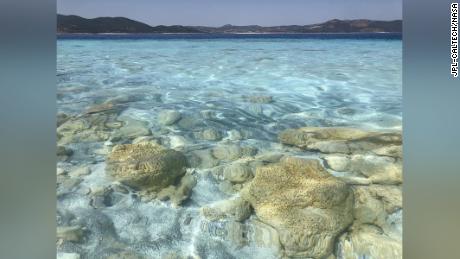 Rocks along the shoreline of Lake Salda in Turkey were formed by microbes that trap minerals and sediments in the water. 