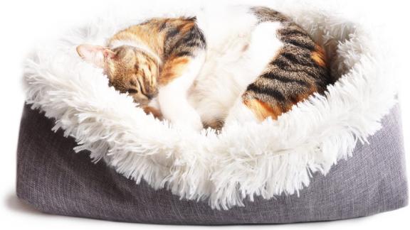 4Claws Furry Pet Bed und Mat