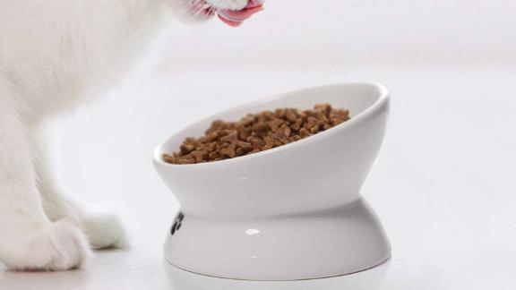Y YHY Elevated Cat Bowl