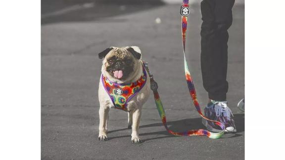 Fresh Pawz TieDye Adjustable Mesh Dog Harness