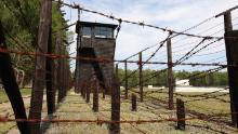 A 96-year-old man is believed to be a Nazi camp guard. 
