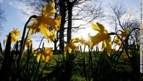 Spring equinox 2021: Hope on the horizon