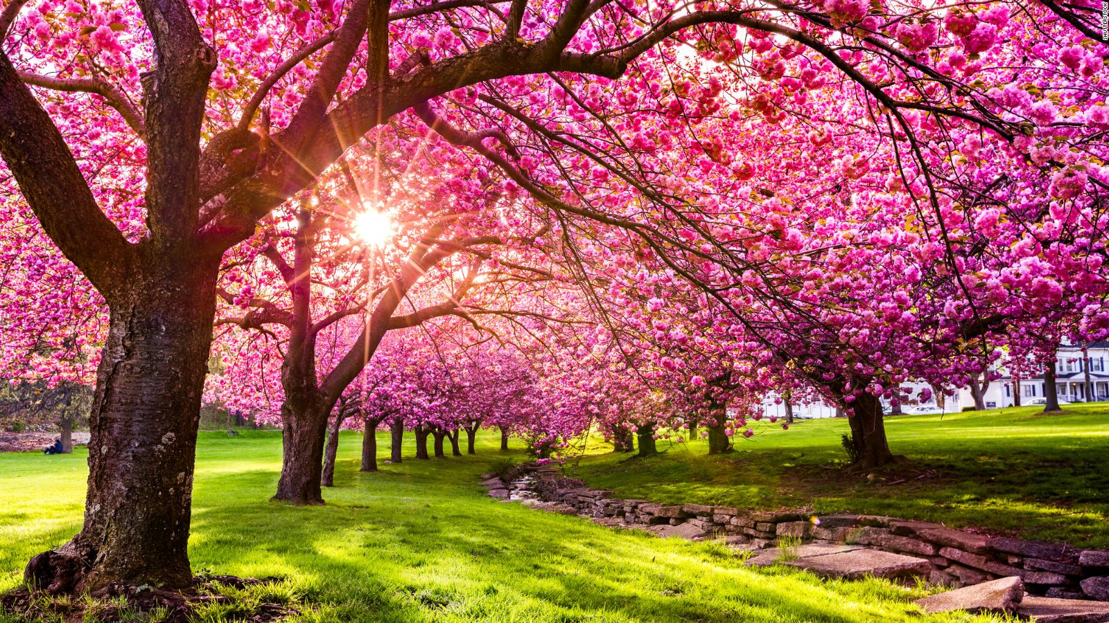 Spring cleaning: Science and allergy relief meet at the end of a broom Spring cleaning: Science and allergy relief meet at the end of a broom