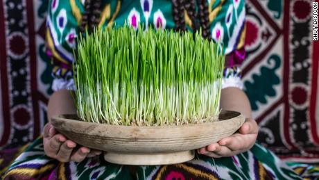 For Persian New Year, one of the items people place on their Haft-seen, or altar, is wheatgrass. 