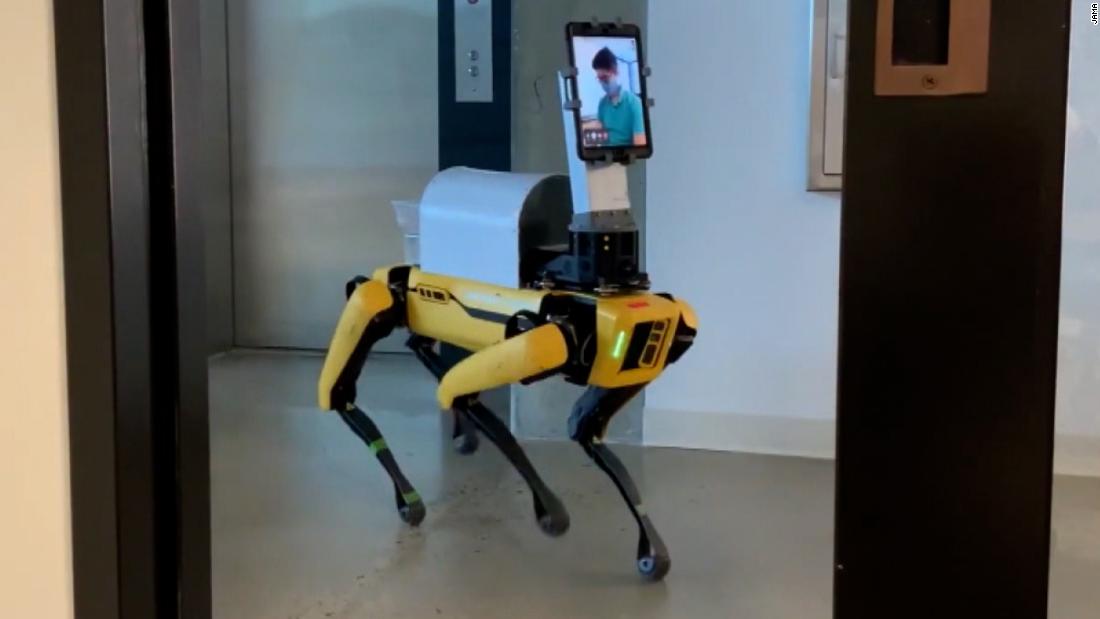 Robot Dogs Can Help Seniors Cope—Especially During Covid