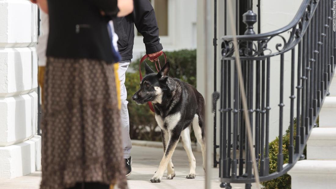 bidens-dog-major-involved-in-another-biting-incident