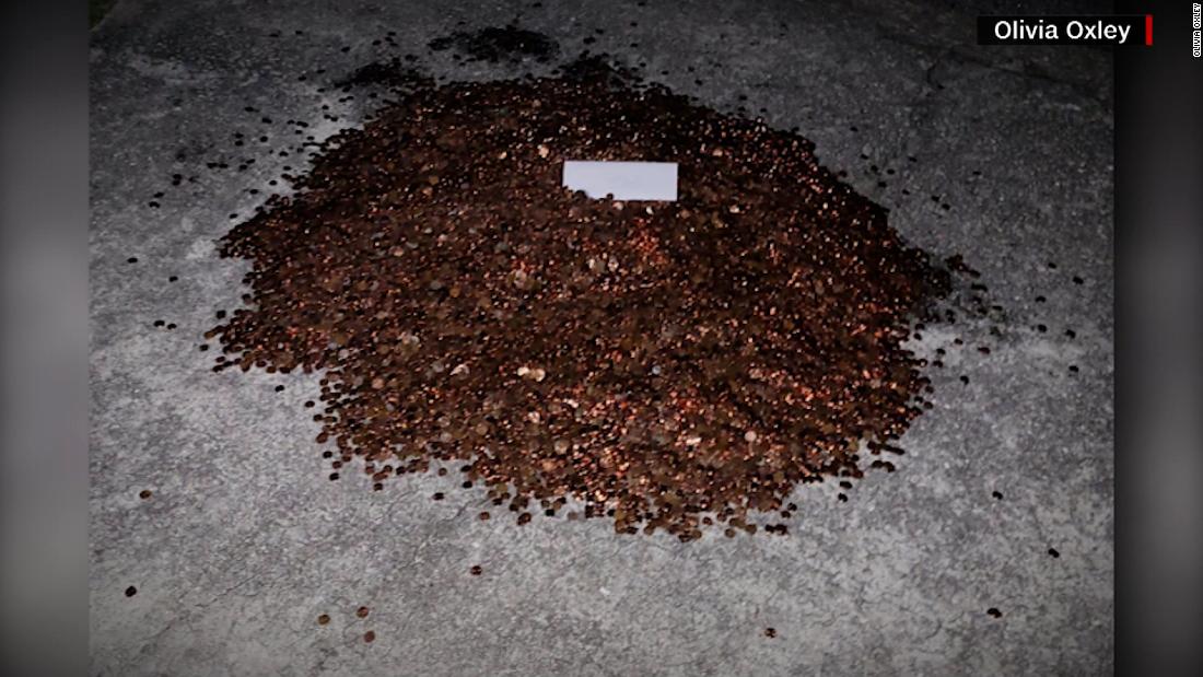 Autoshop owner sued after dumping 500 pounds of pennies on ex-employee's driveway