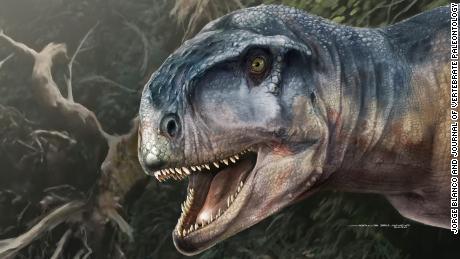 Recentemente scoperto un simile T. rex con un cranio insolito che ha terrorizzato la Patagonia 80 milioni di anni fa
