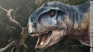 The T.rex was a massive coward – and we have the footage to prove