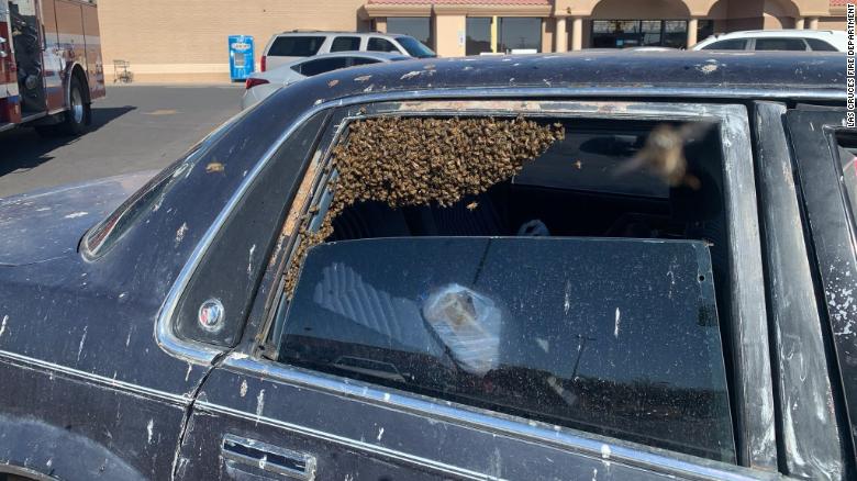 A man returned from shopping and found 15,000 bees in his car 210401150515-01-firefighter-saves-bee-swarm-exlarge-169