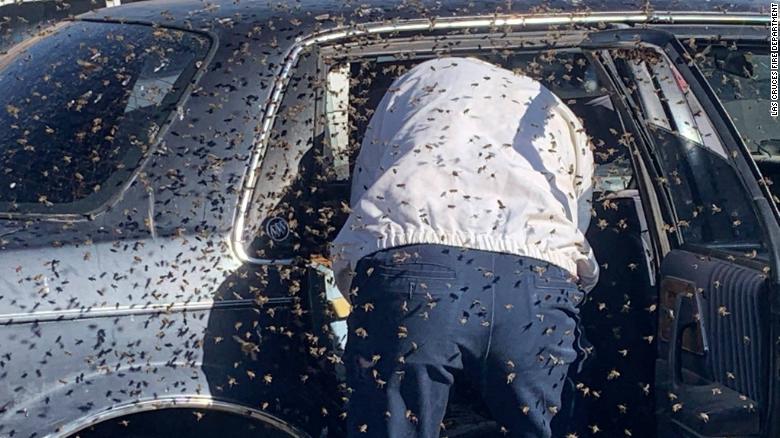 A man returned from shopping and found 15,000 bees in his car 210401150748-03-firefighter-saves-bee-swarm-exlarge-169