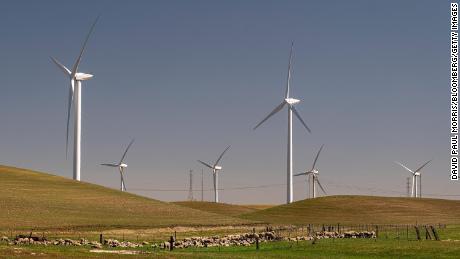 Sheep graze near wind turbines at a wind farm near Highway 12 in Rio Vista, California, on Tuesday, March 30, 2021. 