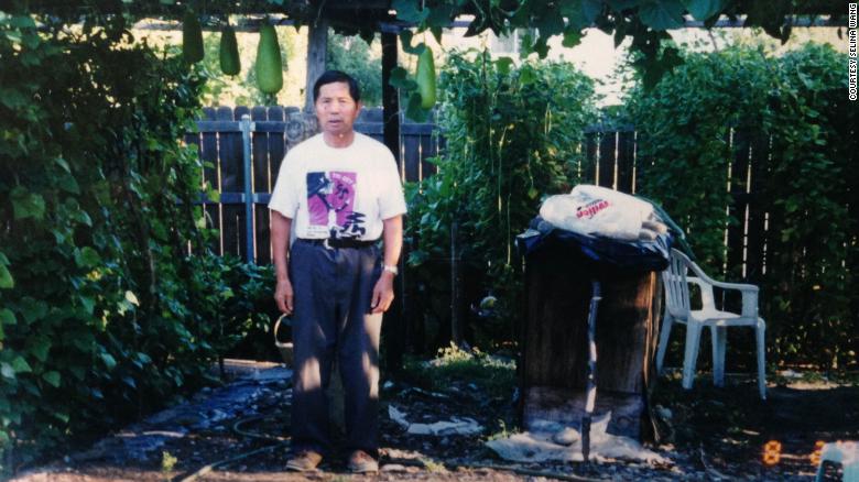 Green thumb: Selina Wang&#39;s grandfather in the family&#39;s yard, which they converted into a vegetable garden.
