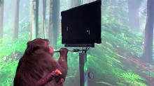 Elon Musk&#39;s Neuralink says this monkey is playing Pong with its mind